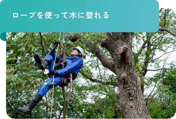 ロープを使って木に登れる