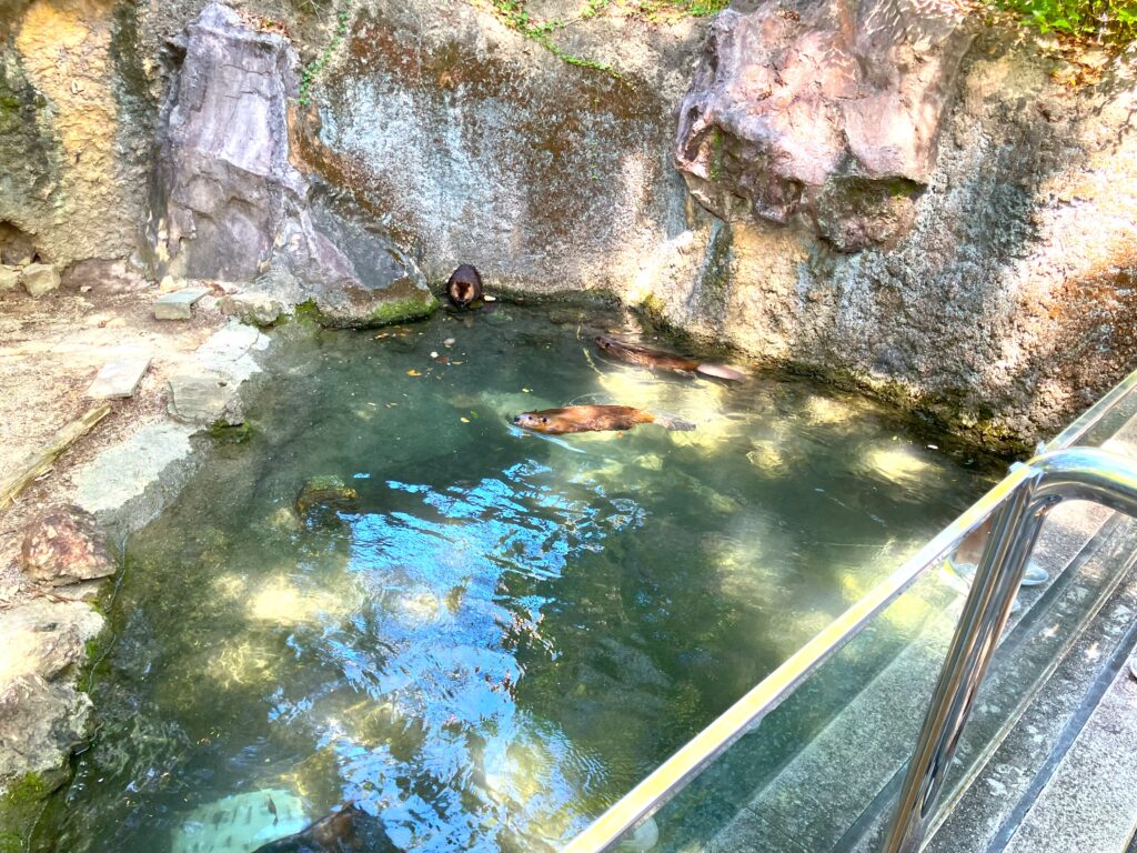 のいち動物公園2