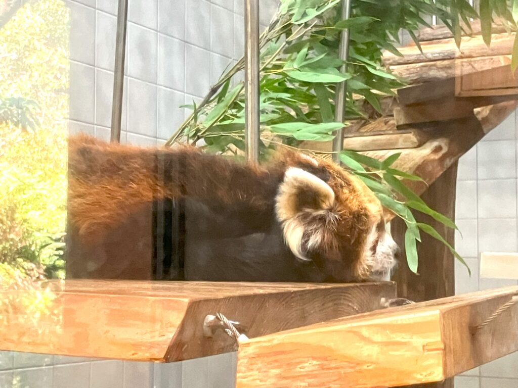 のいち動物公園3