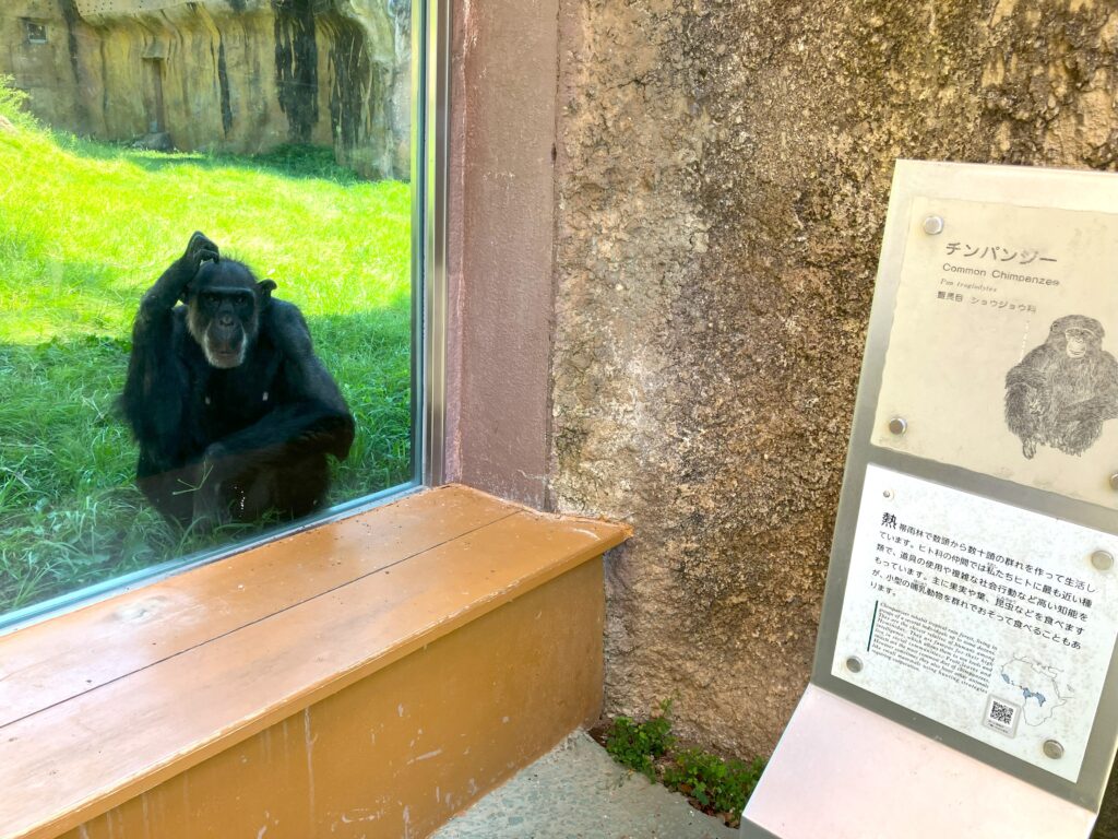 のいち動物公園4