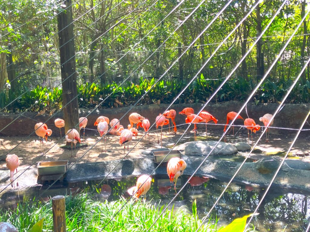 のいち動物公園5