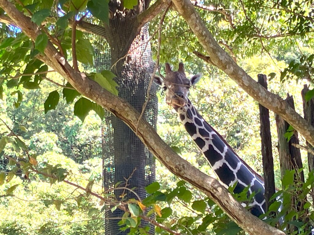 のいち動物公園7